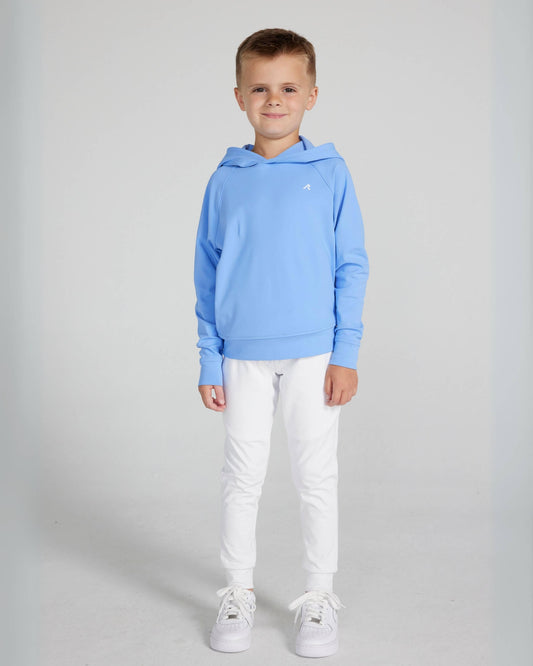 Boys Larkin Hoodie in Bleu